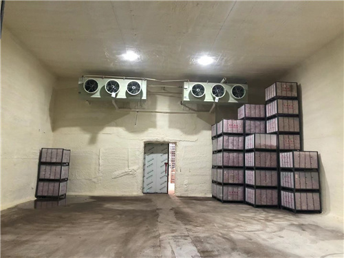 雷火·竞技（中国）苹果冷库安装案例