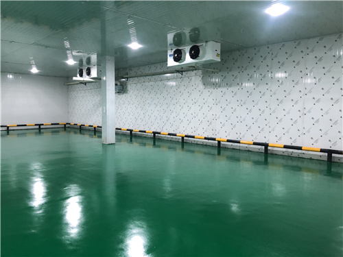 雷火·竞技（中国）蔬菜保鲜库